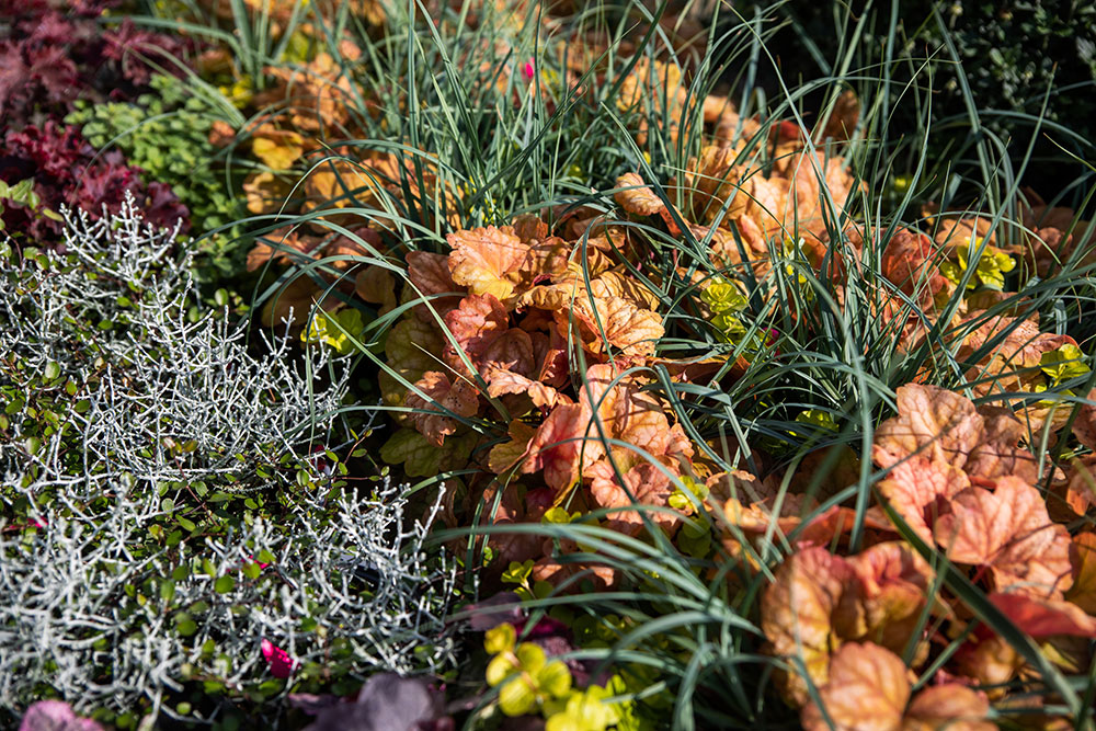 Herbstzauber